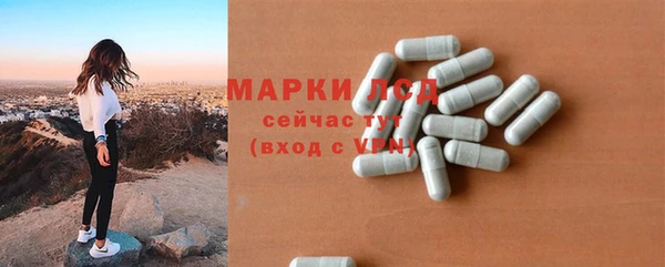 apvp Алзамай