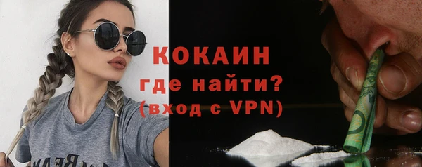 прущие грибы Сатка
