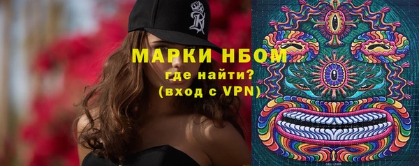 apvp Алзамай