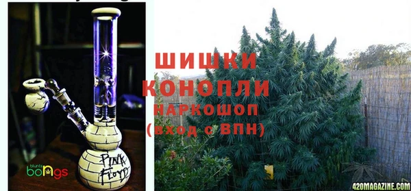 apvp Алзамай