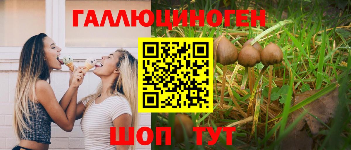 Галлюциногенные грибы мицелий  где продают наркотики  Вход с VPN  Кондопога  Галлюциногенные грибы MAGIC MUSHROOMS 