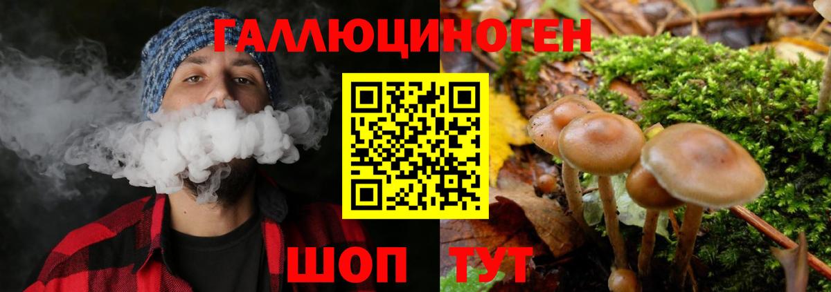 Галлюциногенные грибы ЛСД Кондопога