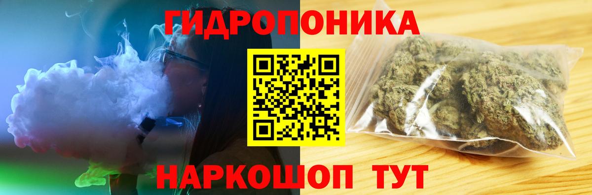 Бошки марихуана планчик  Каннабис Amnesia  Вход с VPN  Кондопога  Канабис Ganja 